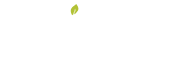 Oriens Global Marketing